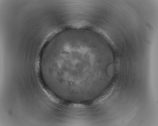 X0000110880590200907021459