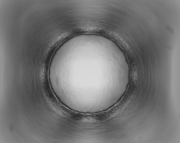 X0000110880591200907021458