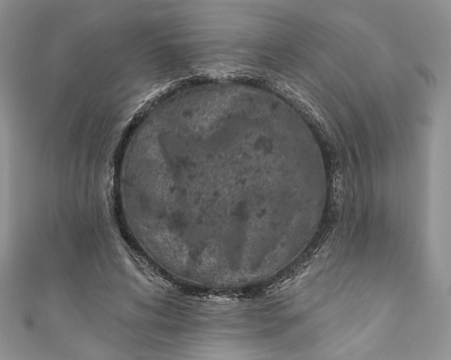 X0000110880592200907021458