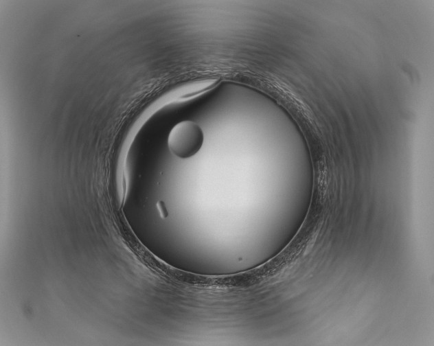 X0000110880593200907021458