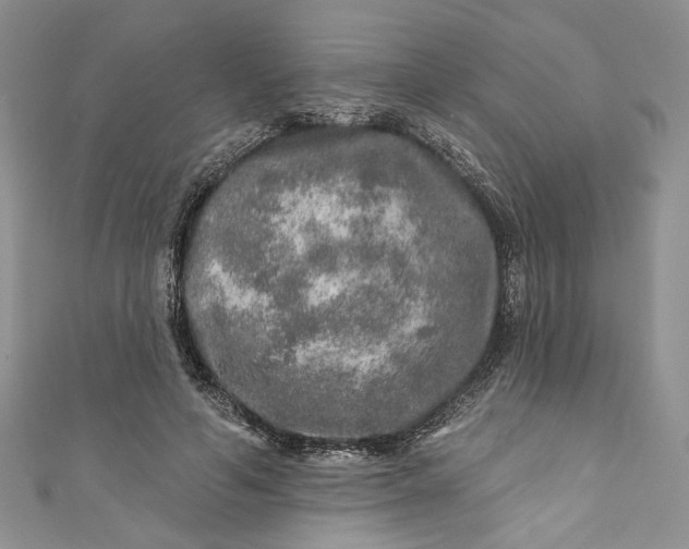 X0000110880594200907021458