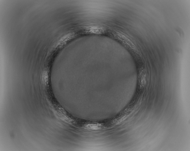 X0000110880595200907021458