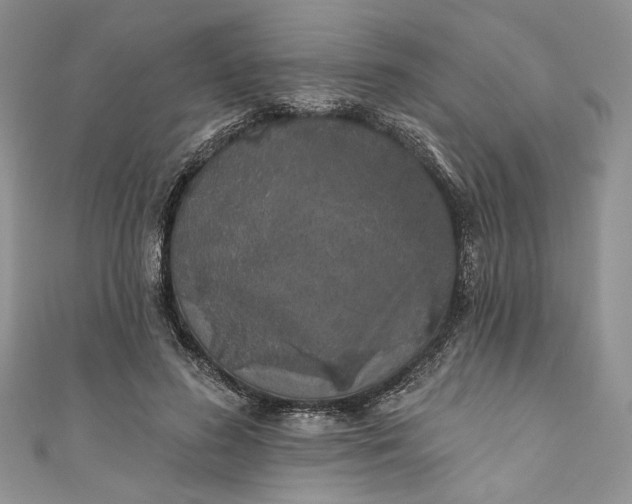 X0000110880596200907021458