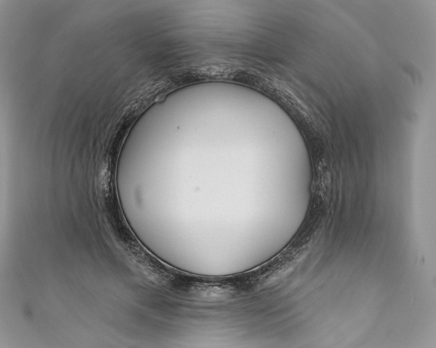 X0000110880597200907021458