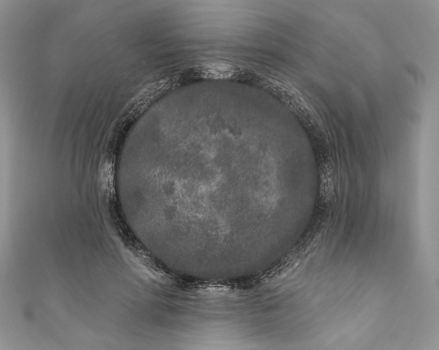 X0000110880598200907021458
