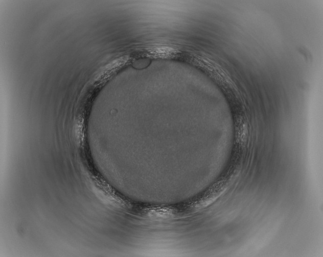 X0000110880599200907021458