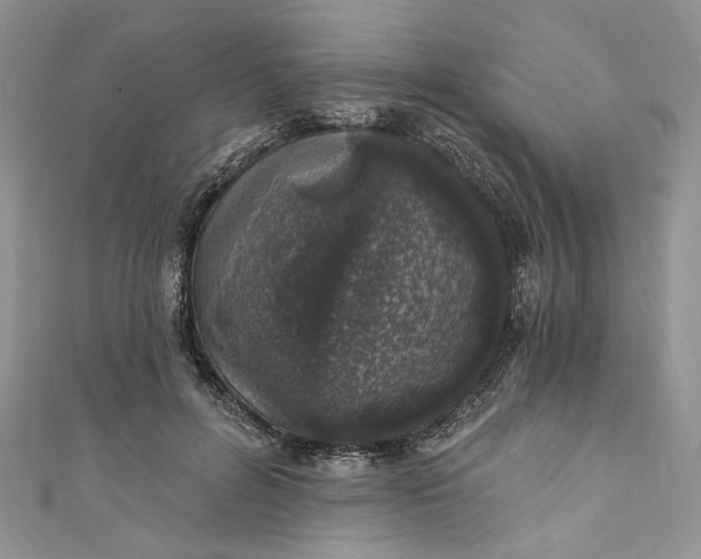 X0000110880600200907021458