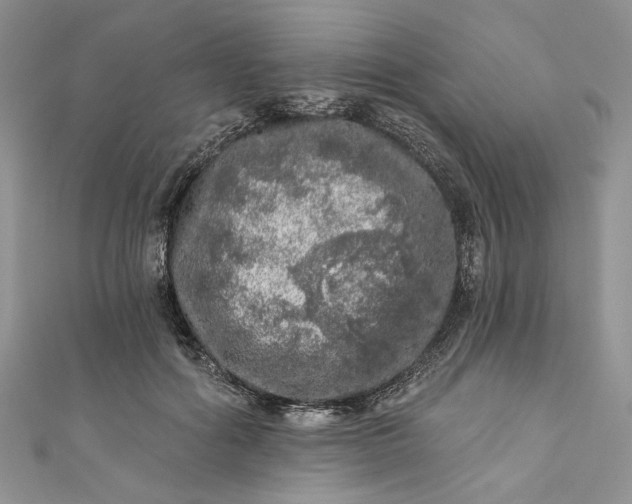 X0000110880602200907021458