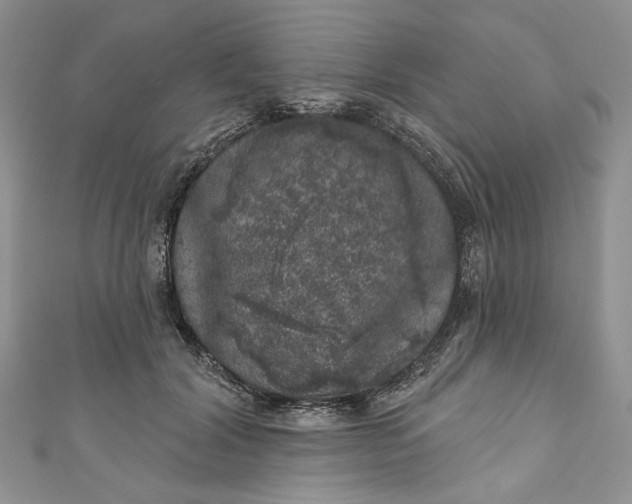 X0000110880604200907021458