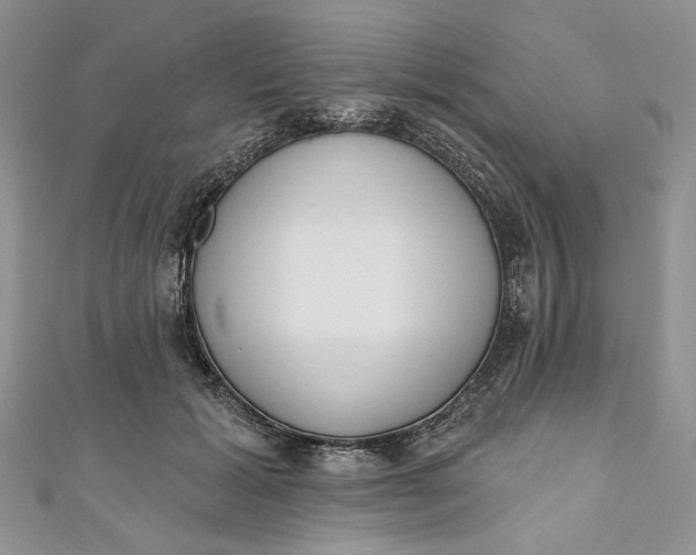 X0000110880605200907021458