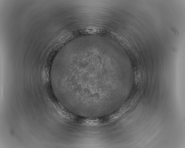 X0000110880606200907021458