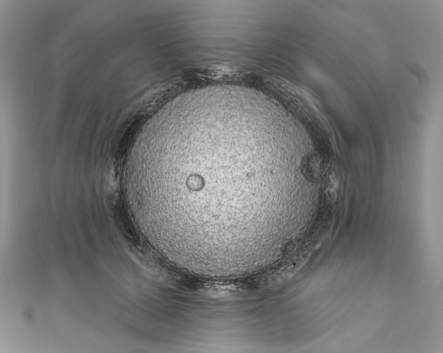 X0000110880607200907021458