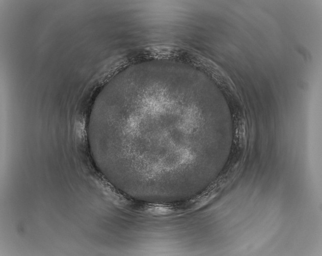 X0000110880610200907021458
