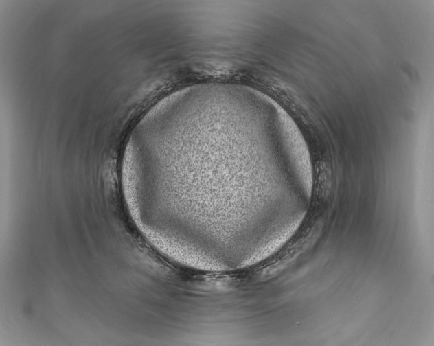 X0000110880612200907021458