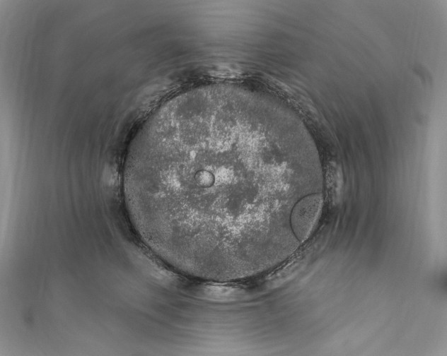 X0000110880614200907021458