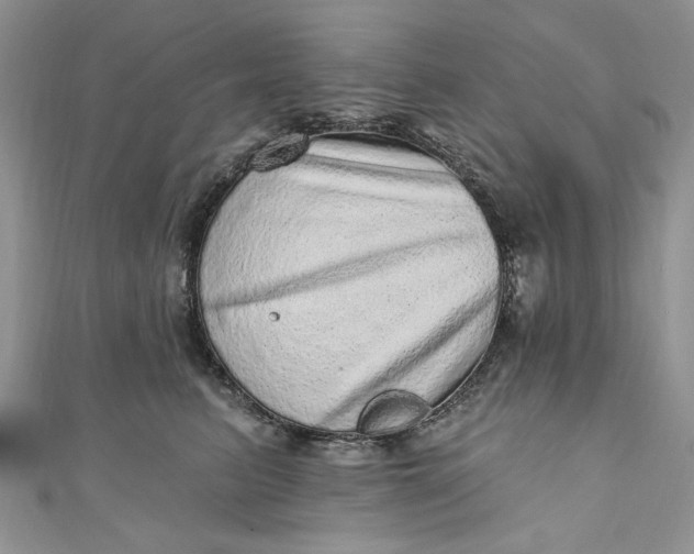 X0000110880615200907021458