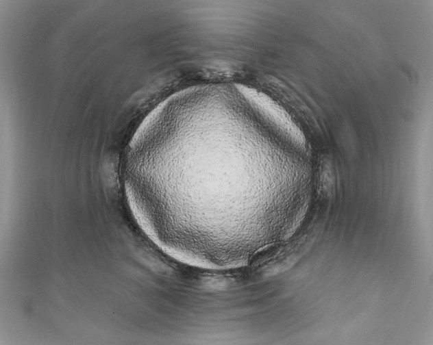 X0000110880616200907021458