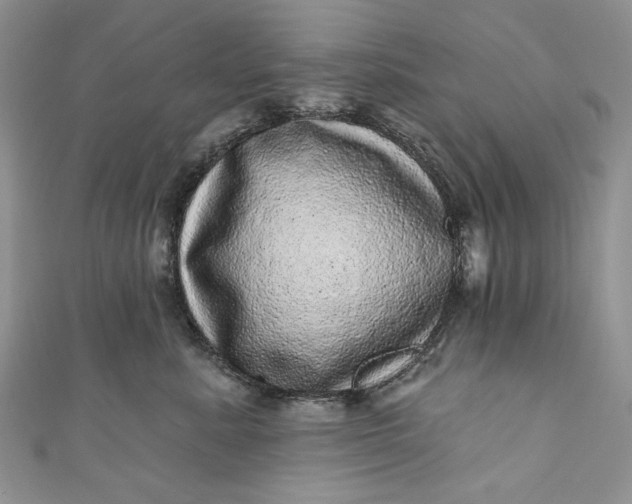 X0000110880619200907021458