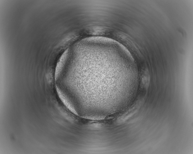 X0000110880620200907021458