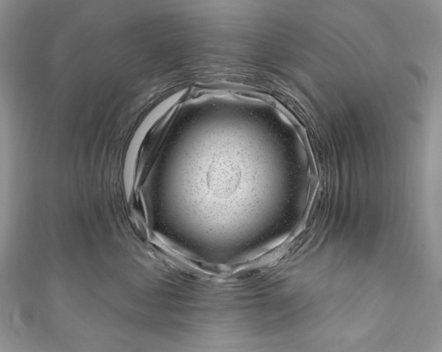 X0000110880621200907021458
