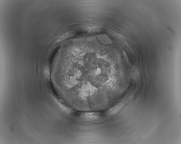 X0000110880622200907021458