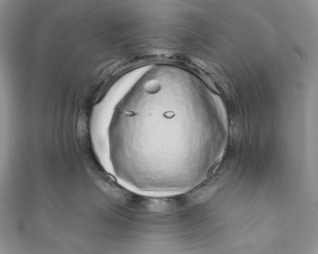 X0000110880623200907021458