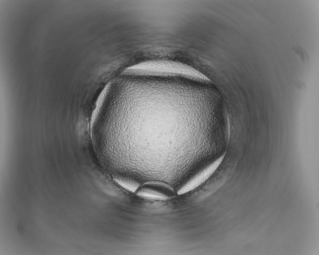 X0000110880624200907021458