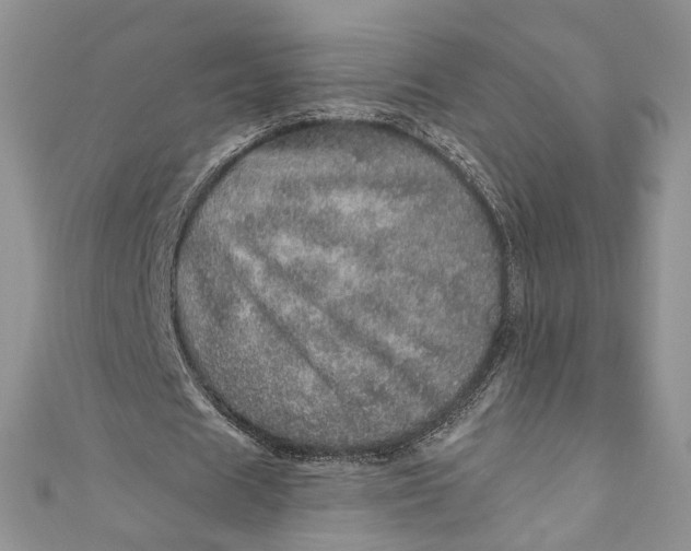 X0000110880625200907021457