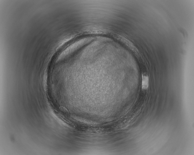 X0000110880627200907021457