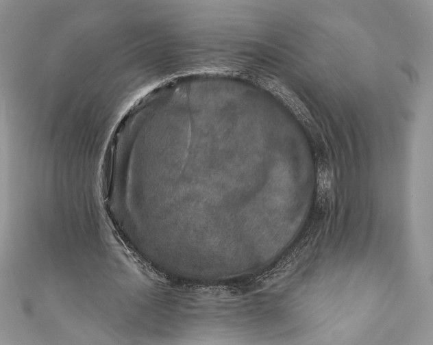 X0000110880628200907021457