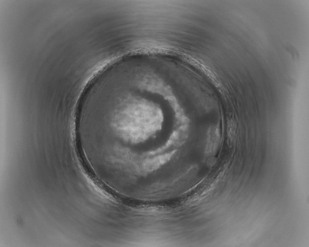 X0000110880629200907021458