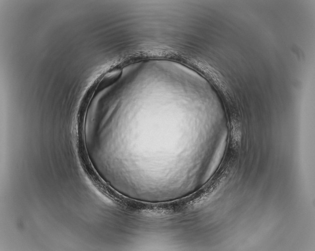 X0000110880630200907021458
