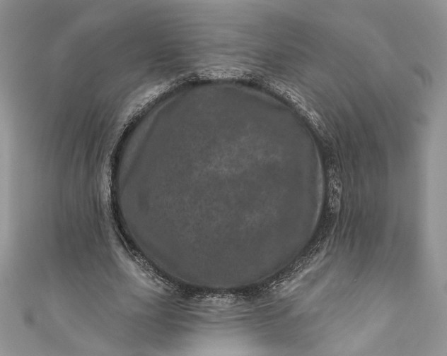 X0000110880631200907021458