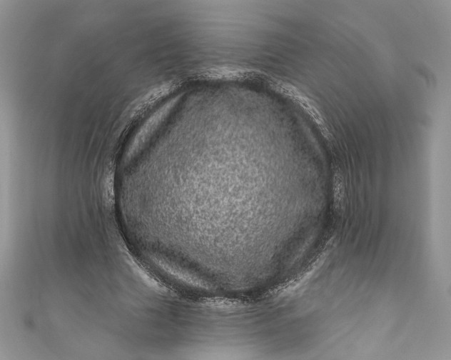 X0000110880633200907021458