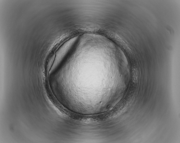 X0000110880634200907021458
