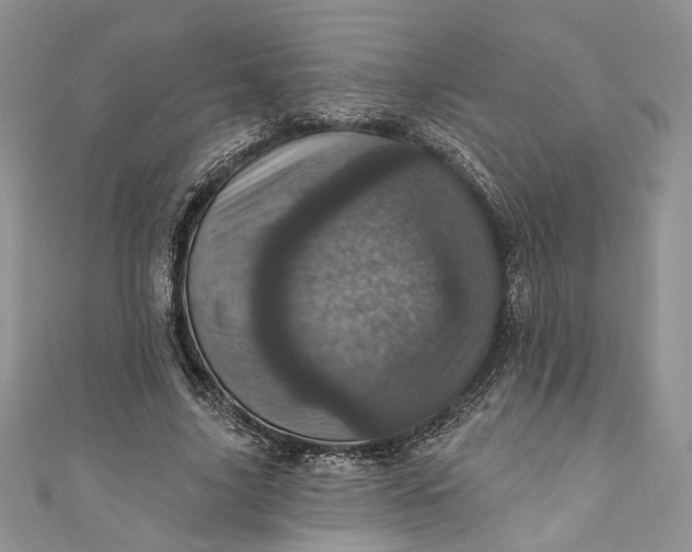 X0000110880635200907021458