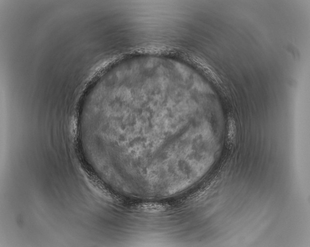X0000110880636200907021458