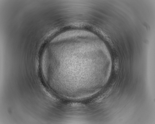 X0000110880637200907021458