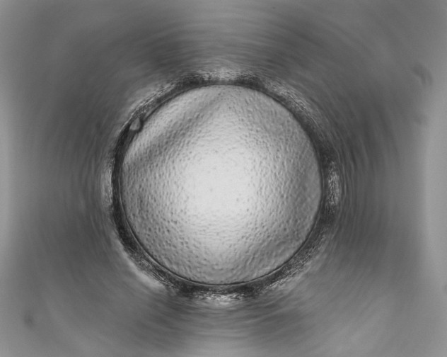X0000110880638200907021458
