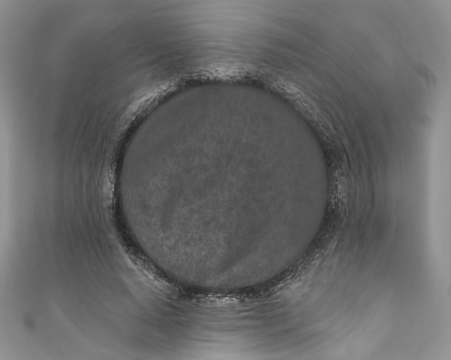 X0000110880640200907021458