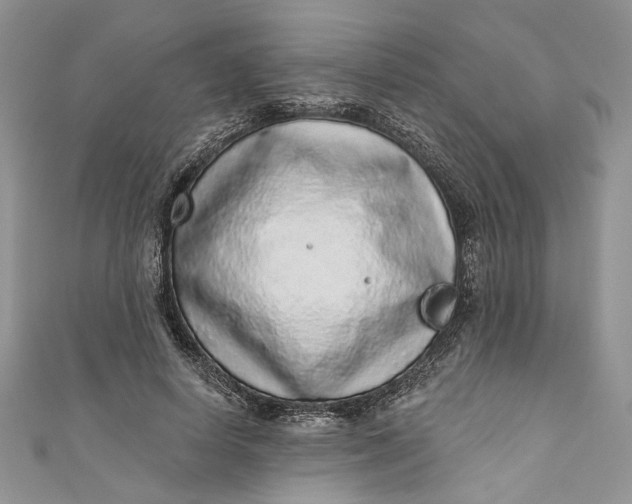 X0000110880642200907021458