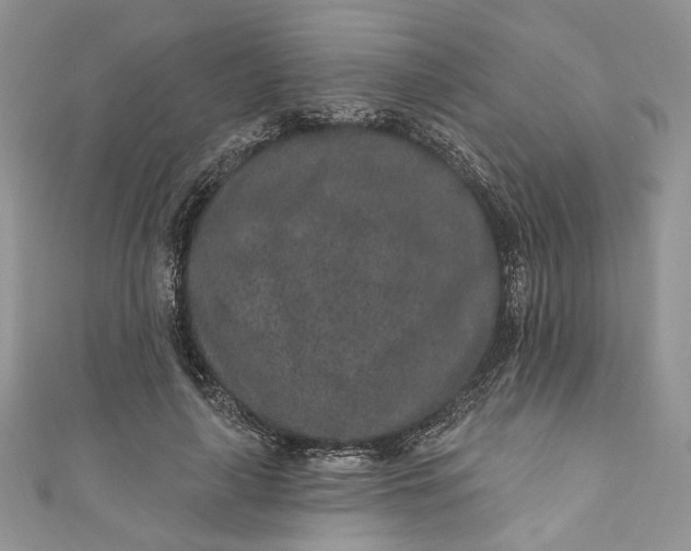 X0000110880643200907021458