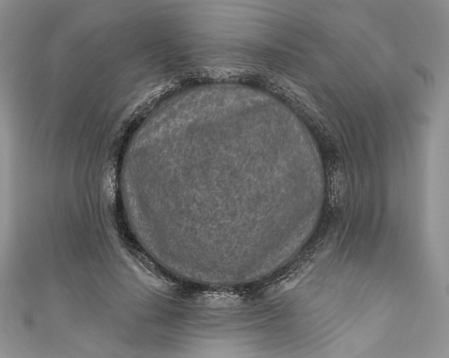 X0000110880644200907021458