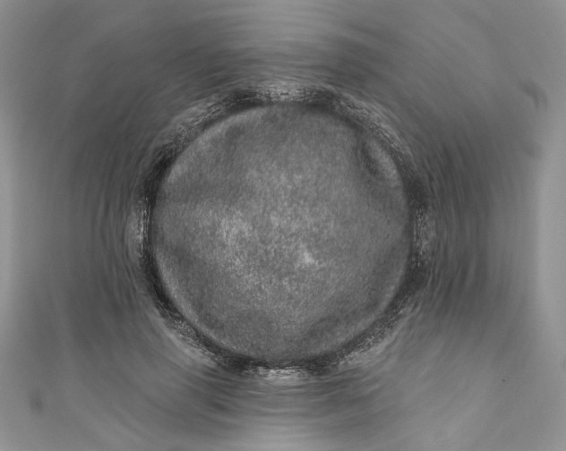 X0000110880645200907021458