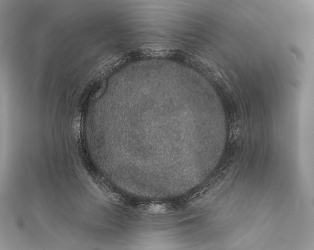 X0000110880647200907021458