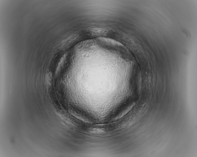 X0000110880649200907021458