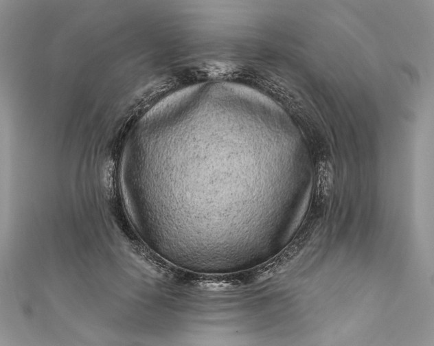 X0000110880650200907021458