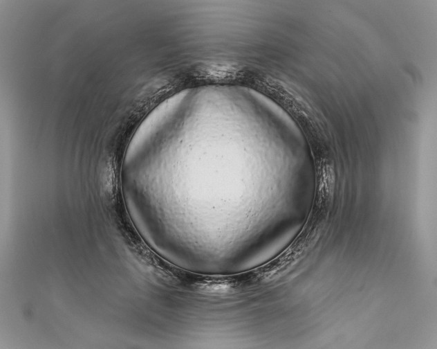 X0000110880651200907021458