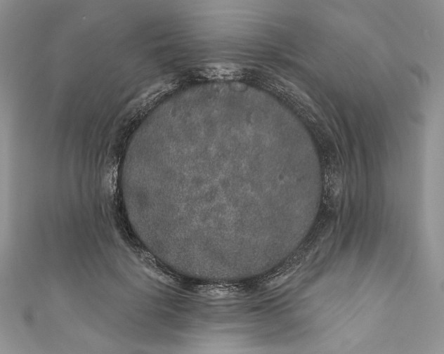 X0000110880652200907021458
