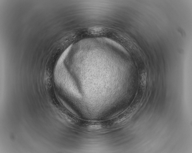 X0000110880653200907021458